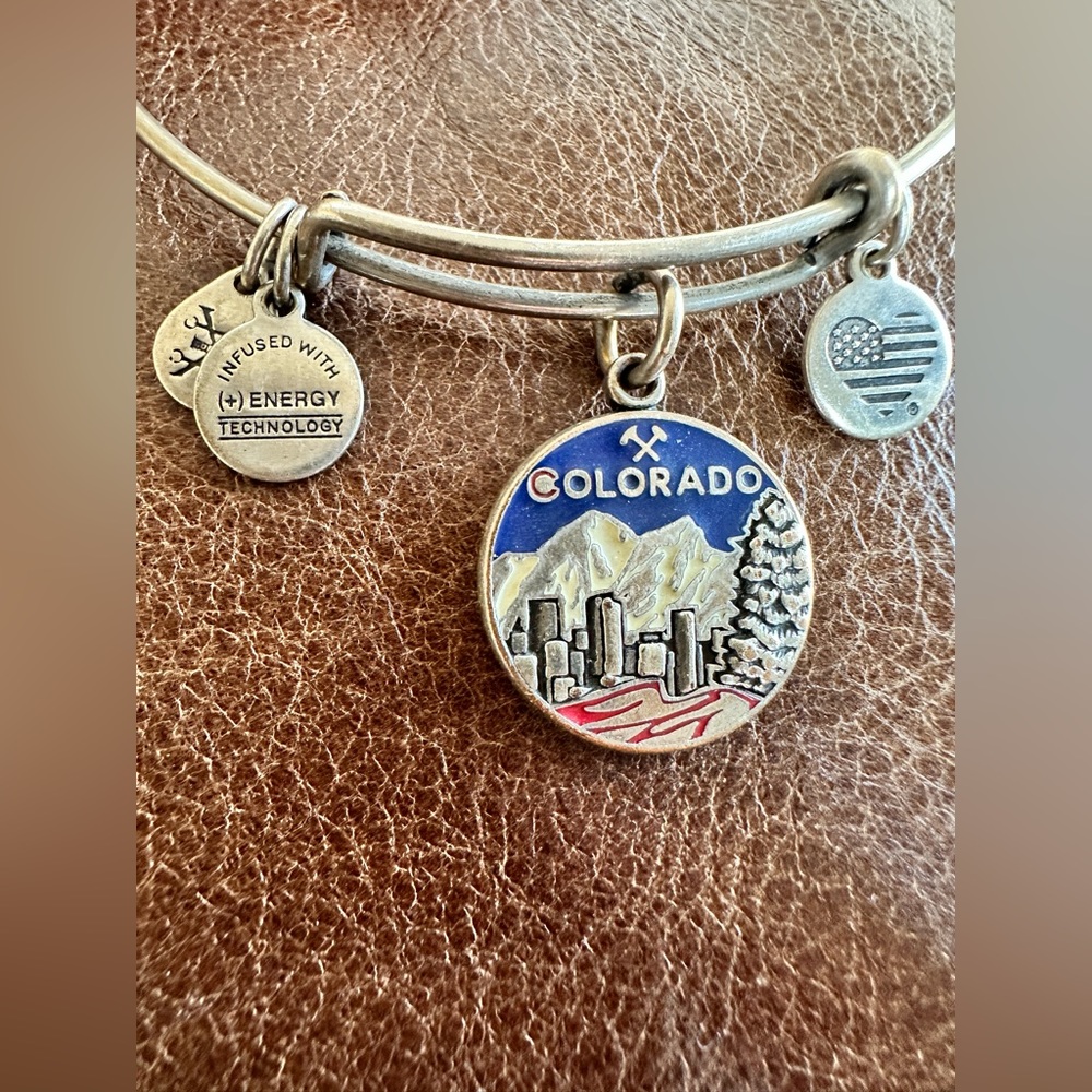 Alex and Ani- Colorado charm bangle